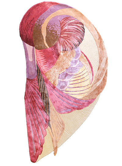 (Copy) unshaped vibe