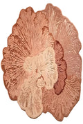 A decorative floral wall hanging or sculpture made of layered, textured flower-like petals in dusty pink, mauve, cream, and brown tones, photographed against a plain warm beige wall.